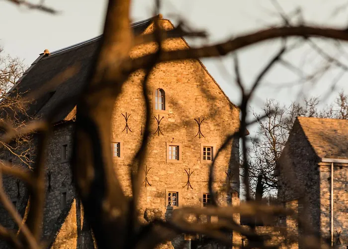 Oda ve Kahvaltı Saunu Dvor